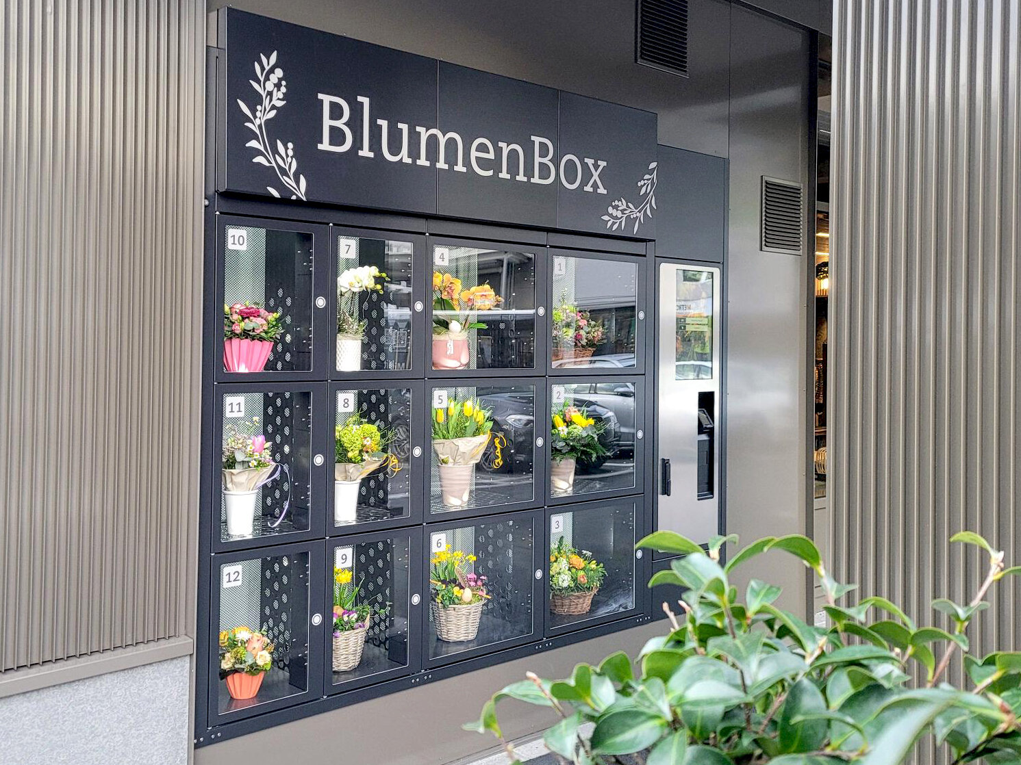 BlumenBox am Bahnhof Stans